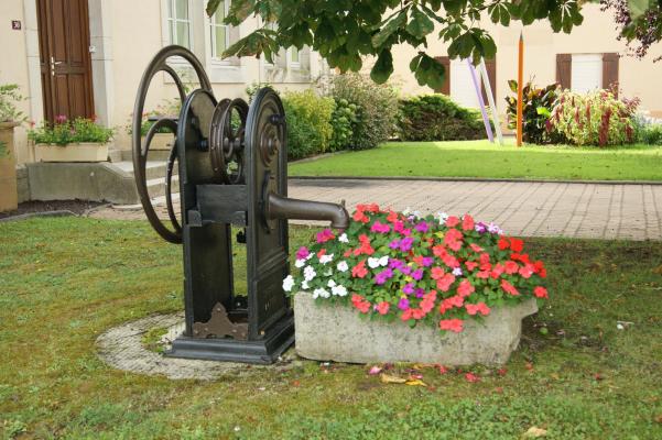 vente de fleurs de printemps