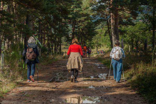 randonnée pédestre sur le parcours de la balade verte